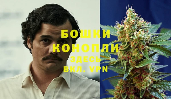 шишки Уссурийск