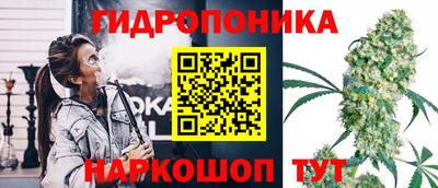 ПСИЛОЦИБИНОВЫЕ ГРИБЫ Гусиноозёрск