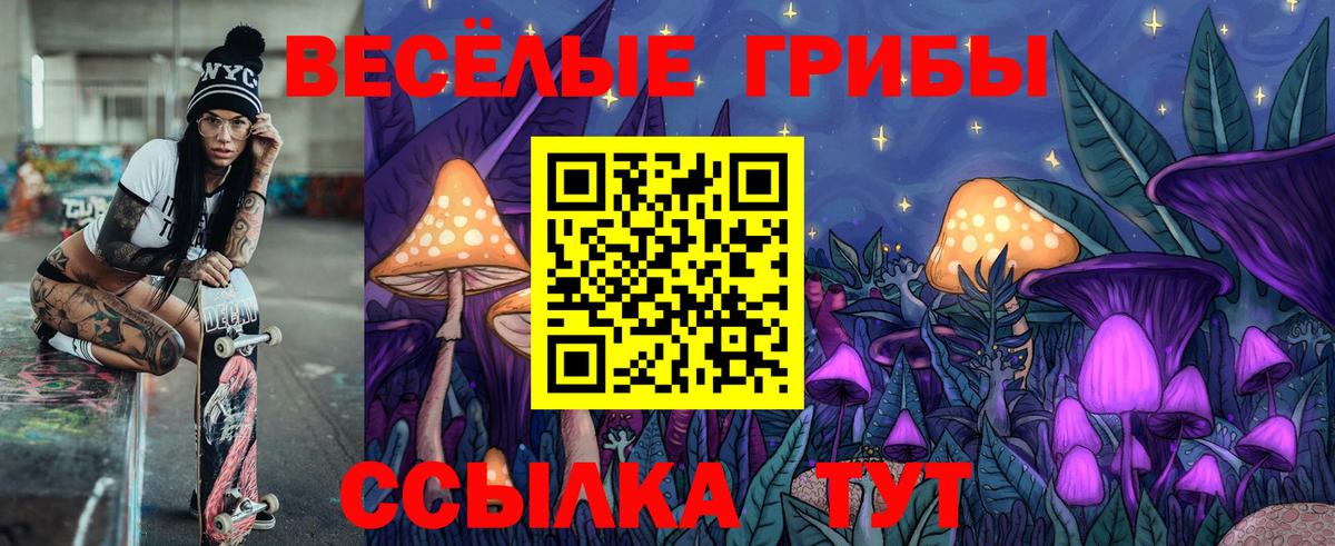 Галлюциногенные грибы Psilocybine cubensis  Вход с VPN  Черкесск  Псилоцибиновые грибы GOLDEN TEACHER 
